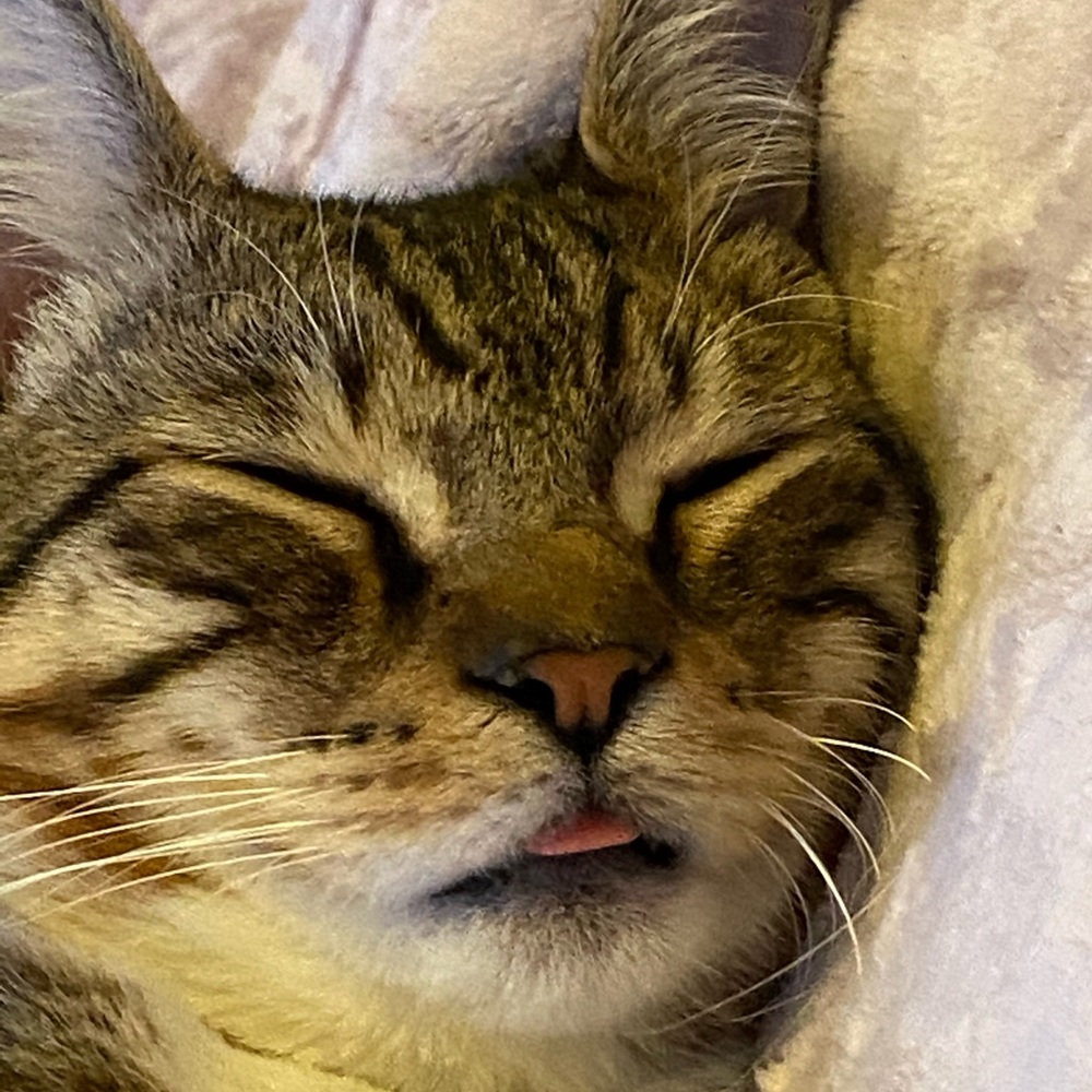 Meet your Posher, Amerie